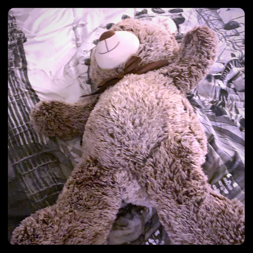 Big fluffy teddy bear